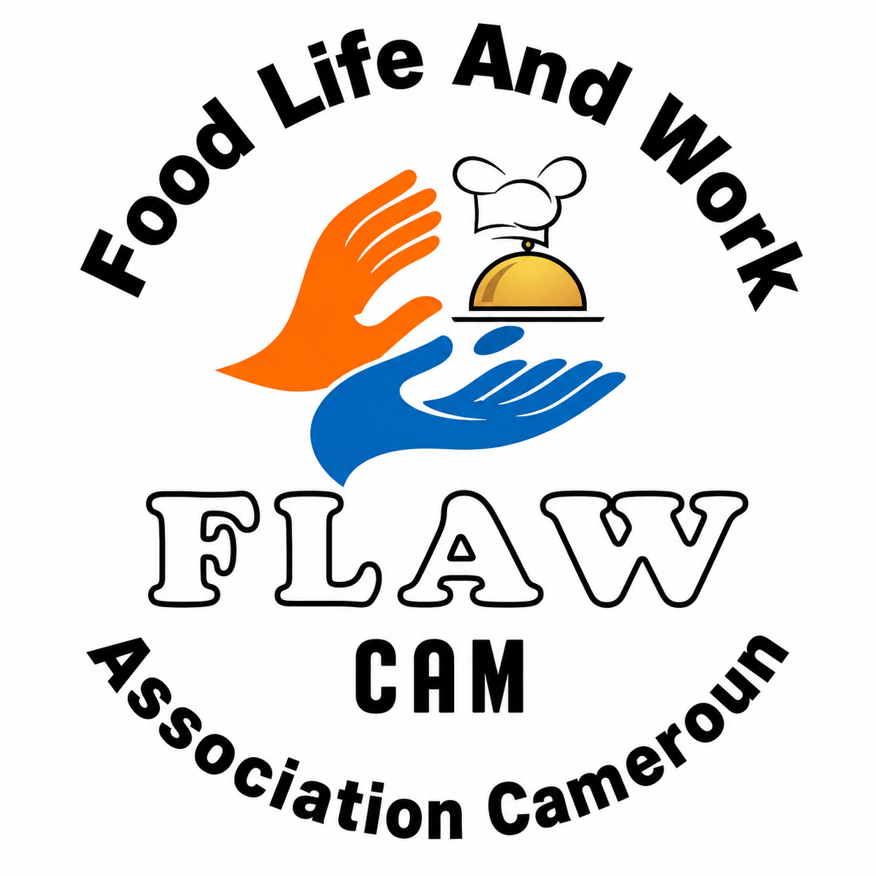 FLAWCAM